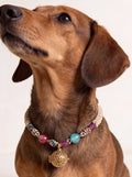Handwoven Cat’s-Eye Pet Collar