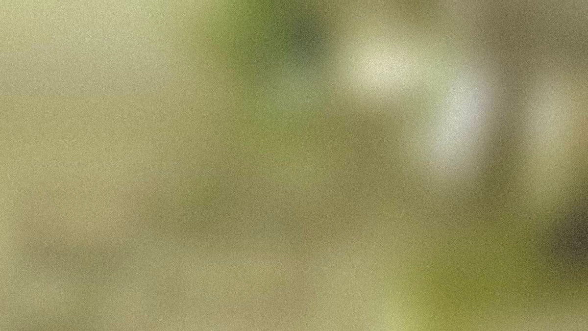 Soft green light and natural textures